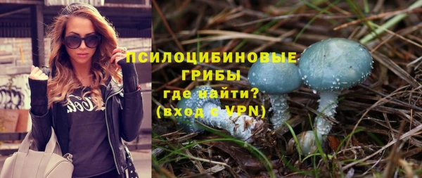 первитин Инсар