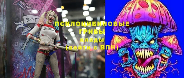 первитин Инсар