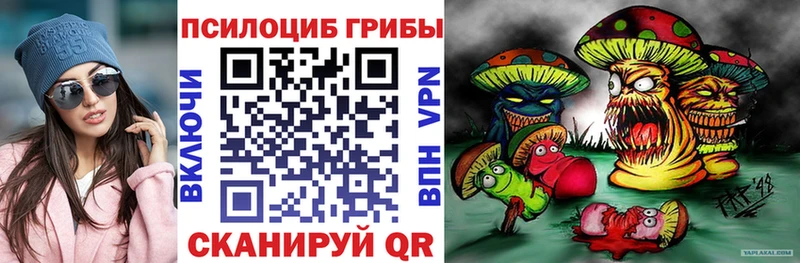 Купить где  Борисоглебск  Псилоцибиновые грибы MAGIC MUSHROOMS 